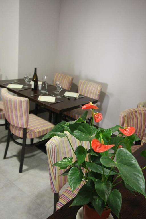 Le Provencal Hotel Tarascon Eksteriør billede